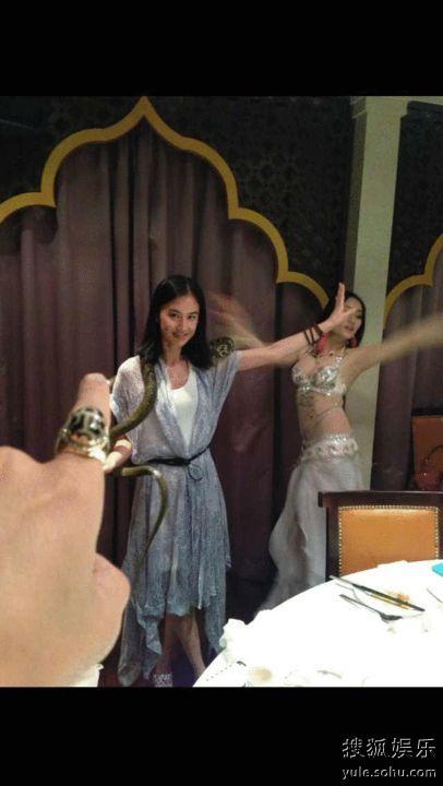 与蛇共舞电影在线观看,惊心动魄的生态奇观  第2张