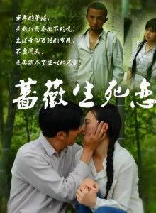 蔷薇生死恋电影完整版在线观看,穿越时空的永恒之恋  第3张